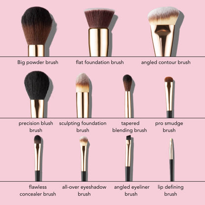 Aria Pro Makeup Brush Set