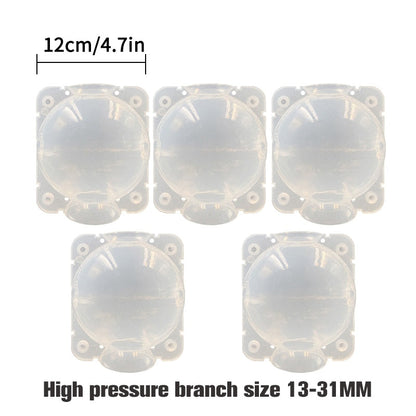 Plant Propagation Balls to Quickly Clone Plants