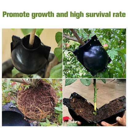 Plant Propagation Balls – Root Growing Cloner Pods
