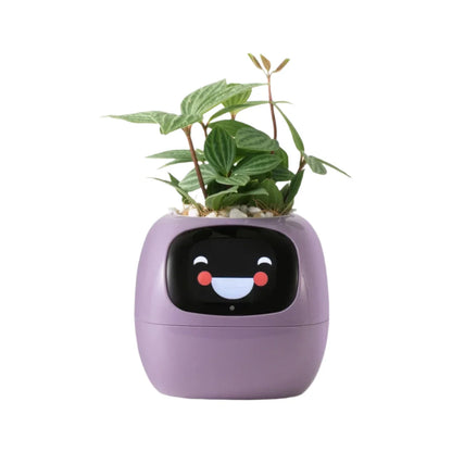 Smart Self-Watering Planter for Indoor Plants