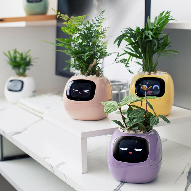 Smart Self-Watering Planter for Indoor Plants