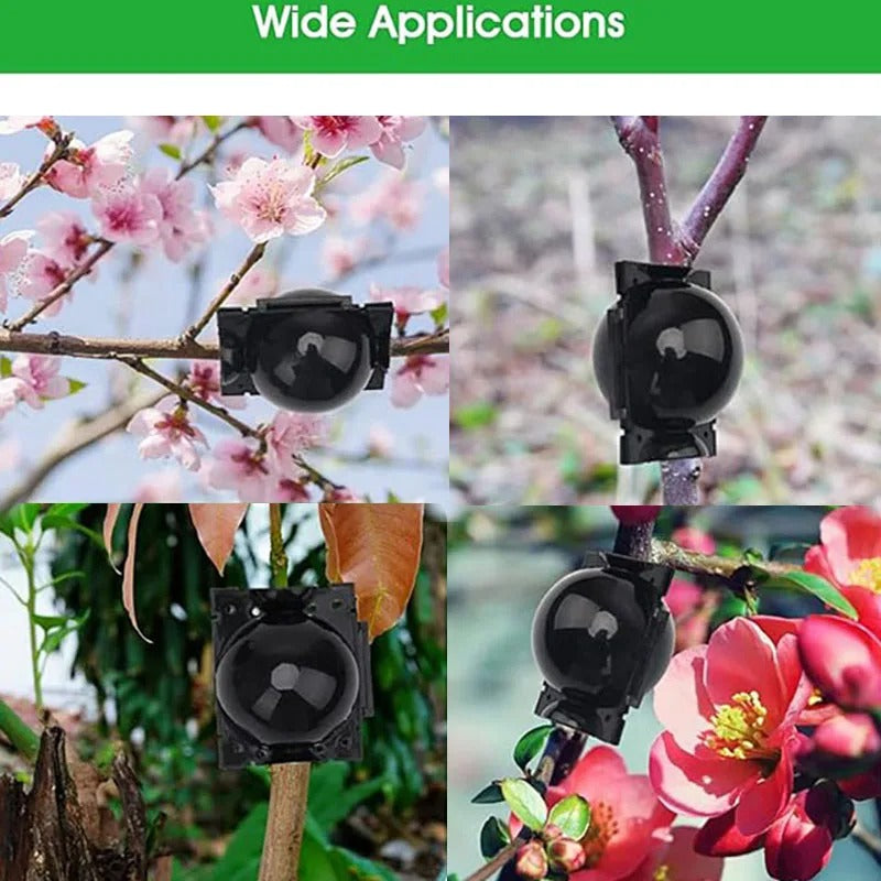 Plant Propagation Balls to Quickly Clone Plants