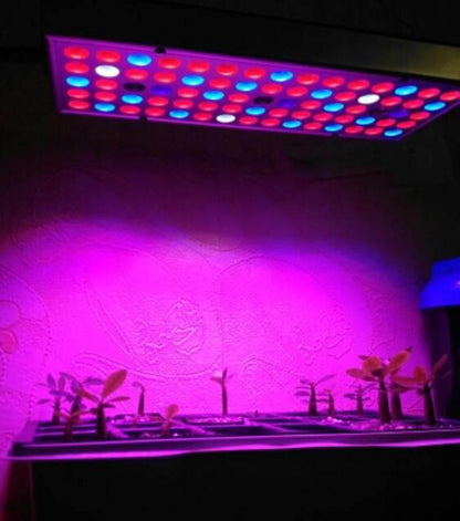 Panel LED Grow Lamp for Indoor Plants