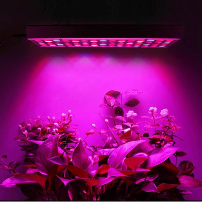 Panel LED Grow Lamp for Indoor Plants