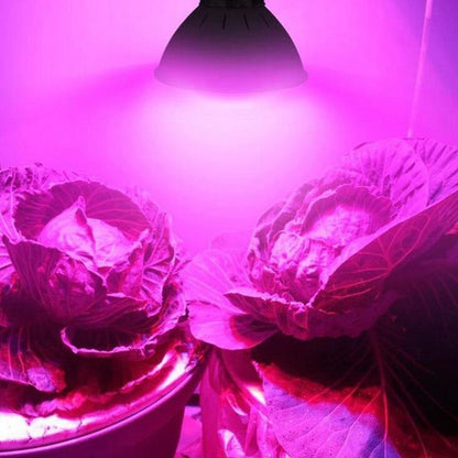 Full Spectrum LED Plant Grow Light
