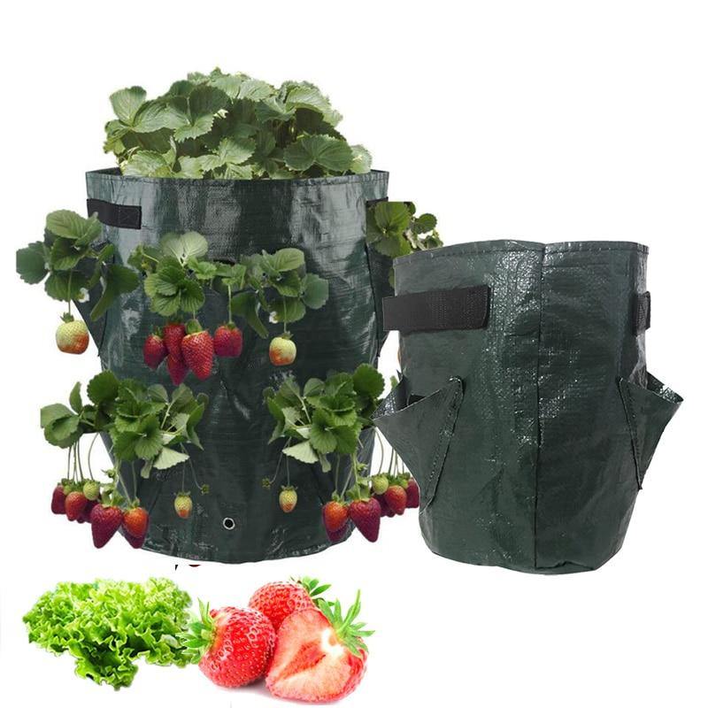 Strawberry Planting Grow Bag