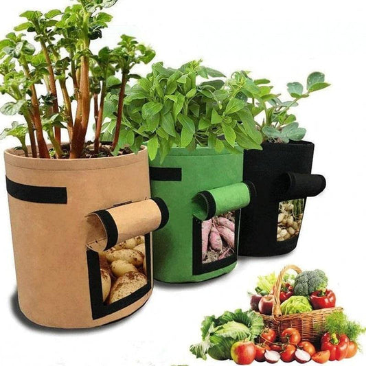 Vegetable Grow Bag