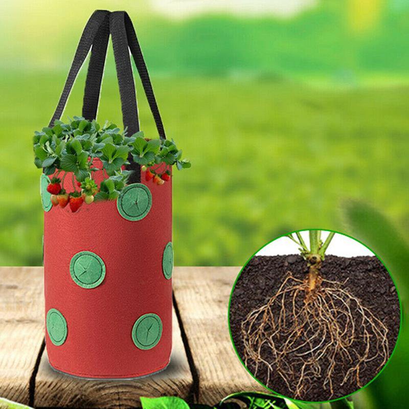 Strawberry Vertical Grow Bags (3 Pack)
