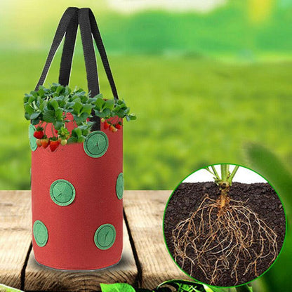 Strawberry Vertical Grow Bags (3 Pack)